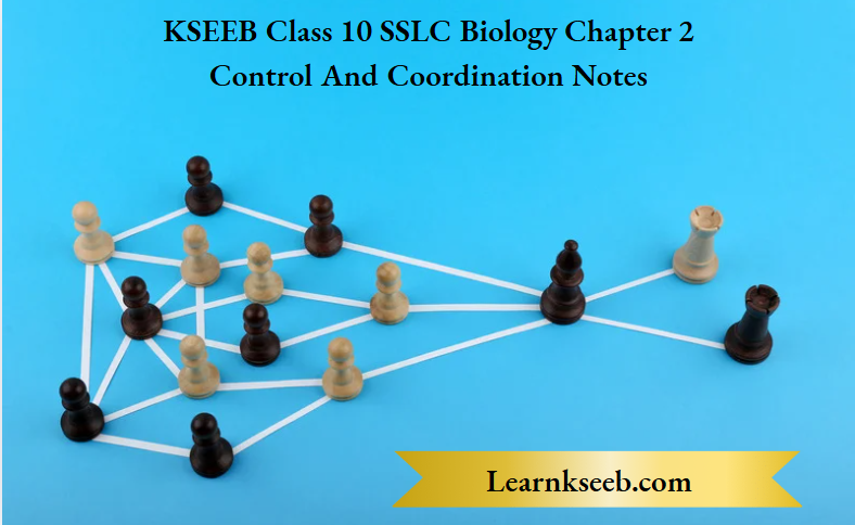 KSEEB Class 10 SSLC Biology Chapter 2 Control and Coordination Notes