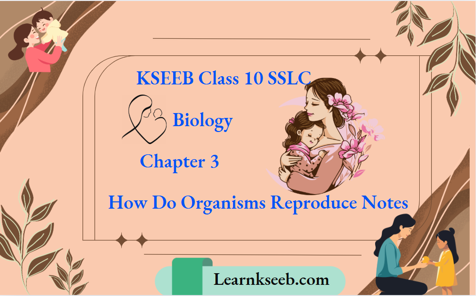 KSEEB Class 10 SSLC Biology Chapter 3 How Do Organisms Reproduce Notes