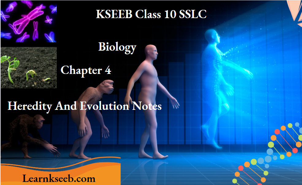 KSEEB Class 10 SSLC Biology Chapter 4 Heredity And Evolution Notes