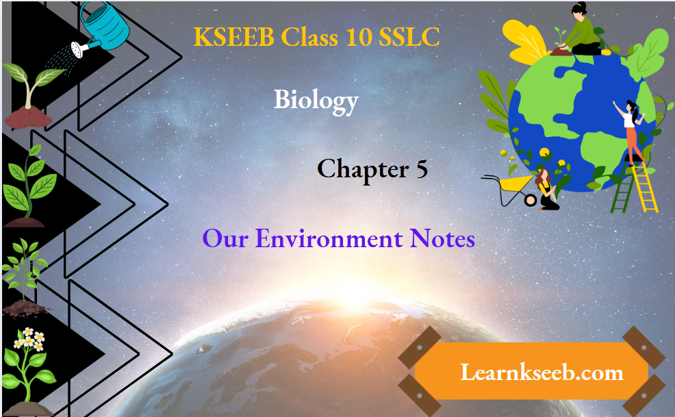 KSEEB Class 10 SSLC Biology Chapter 5 Our Environment Notes
