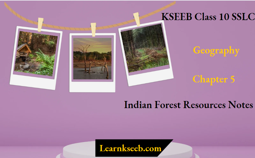 KSEEB Class 10 SSLC Geography Chapter 5 Indian Forest Resources Notes