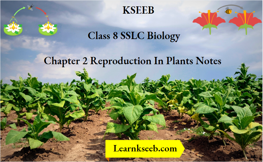 KSEEB Class 8 SSLC Biology Chapter 2 Reproduction in Plants Notes