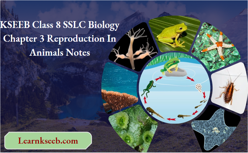 KSEEB Class 8 SSLC Biology Chapter 3 Reproduction In Animals Notes