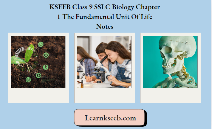 KSEEB Class 9 SSLC Biology Chapter 1 The Fundamental Unit Of Life Notes