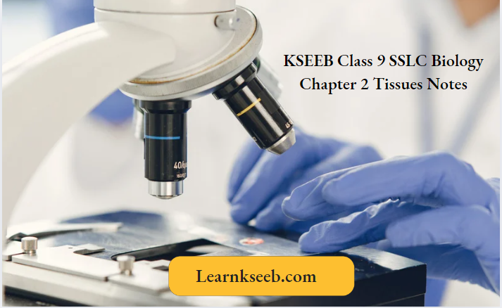 KSEEB Class 9 SSLC Biology Chapter 2 Tissues Notes