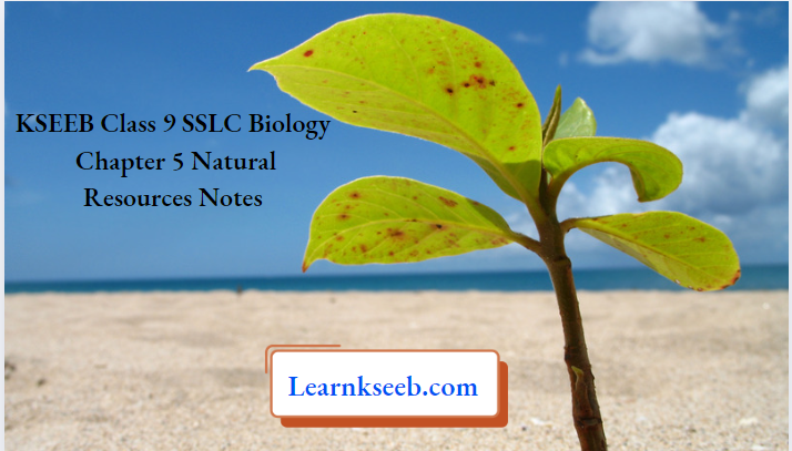KSEEB Class 9 SSLC Biology Chapter 5 Natural Resources Notes