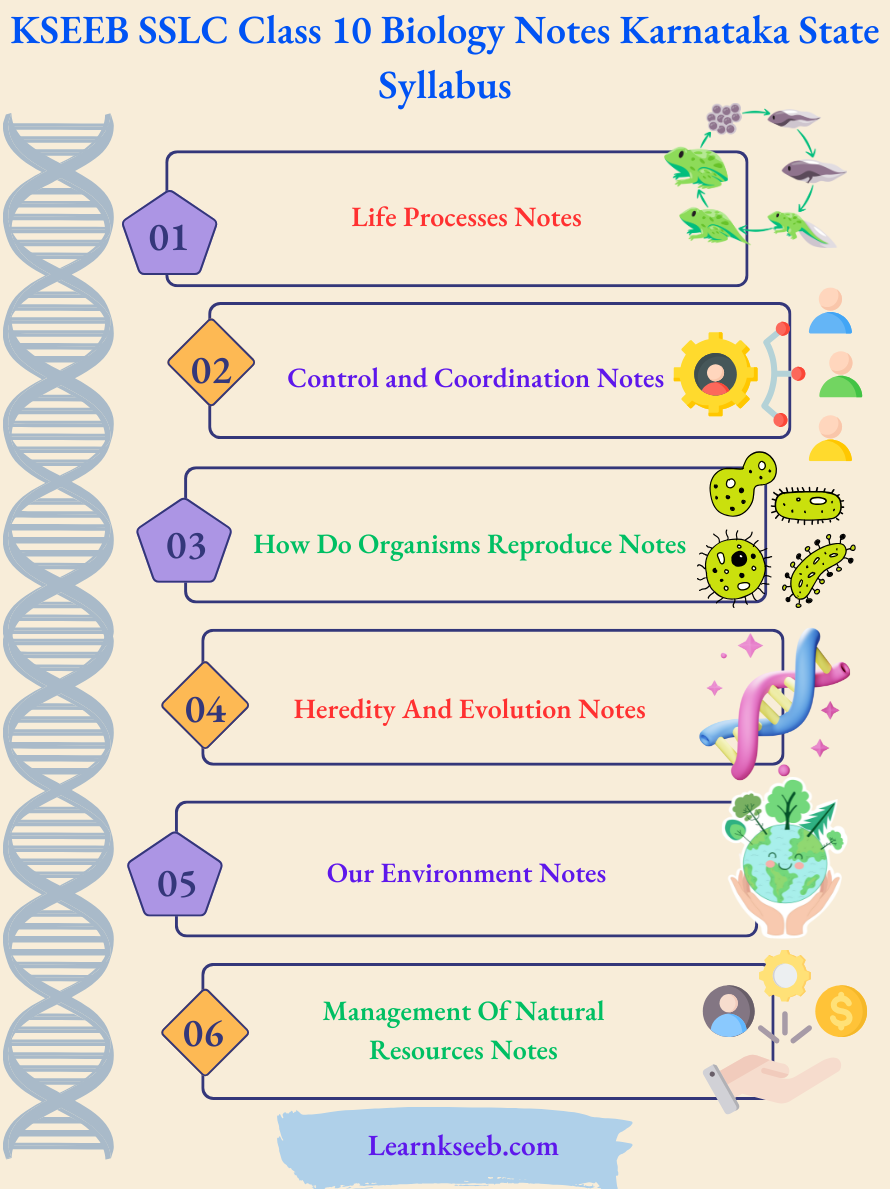 KSEEB SSLC Class 10 Biology Notes Karnataka State Syllabus