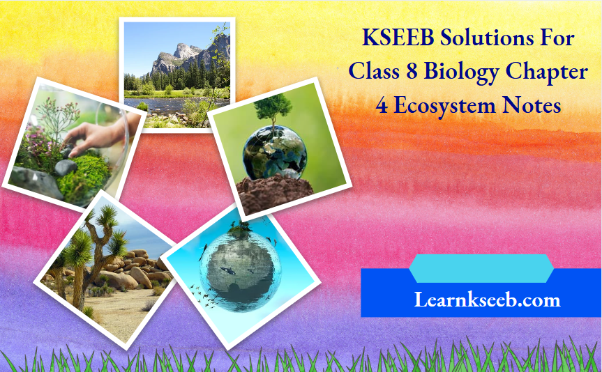 KSEEB Solutions for Class 8 Biology Chapter 4 Ecosystem Notes