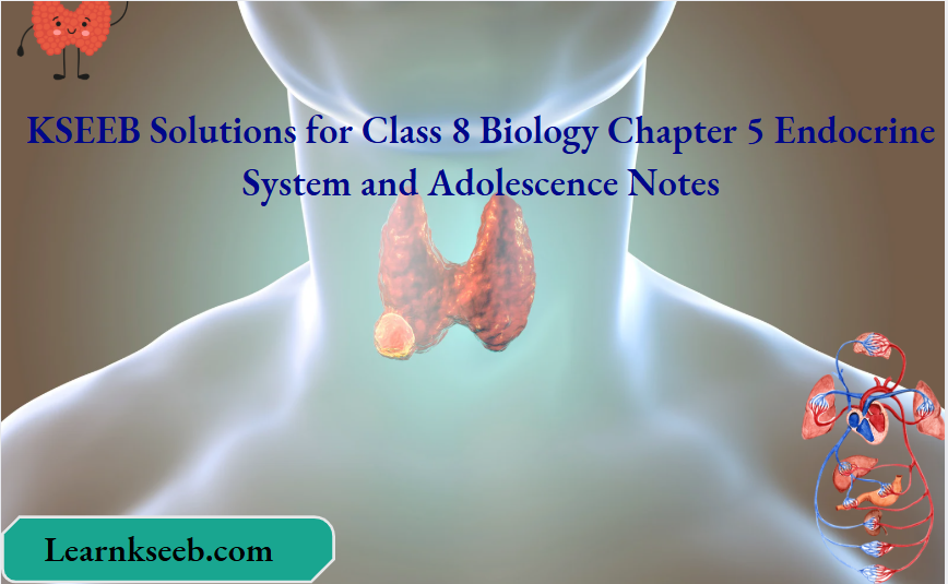 KSEEB Solutions for Class 8 Biology Chapter 5 Endocrine System and Adolescence Notes