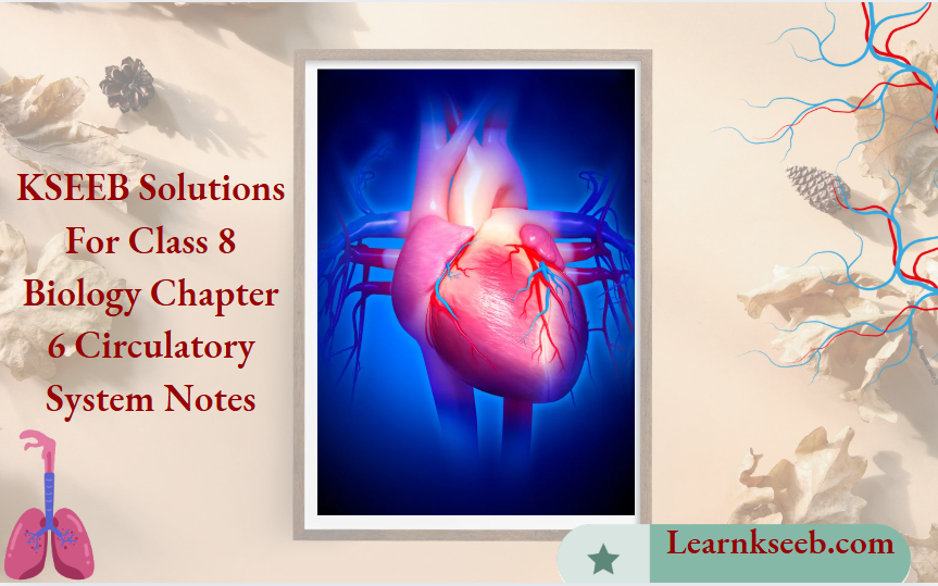 KSEEB Solutions for Class 8 Biology Chapter 6 Circulatory System Notes