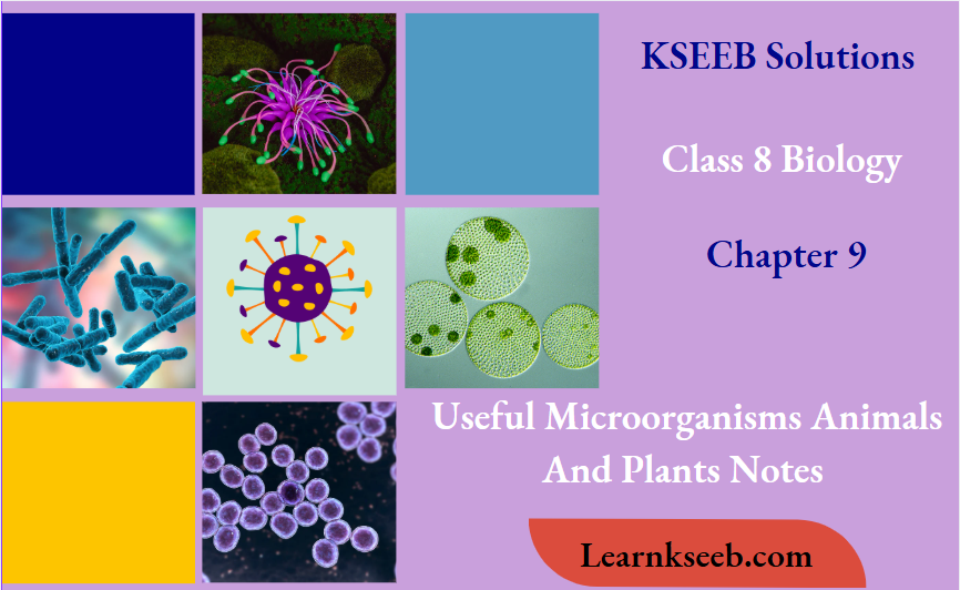 KSEEB Solutions for Class 8 Biology Chapter 9 Useful Microorganisms Animals and Plants Notes