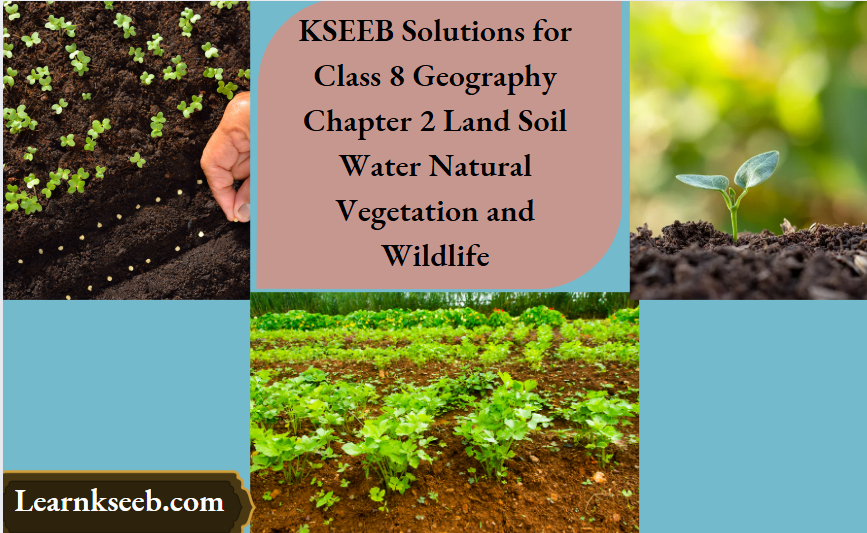 KSEEB Solutions for Class 8 Geography Chapter 2 Land Soil Water Natural Vegetation And Wildlife
