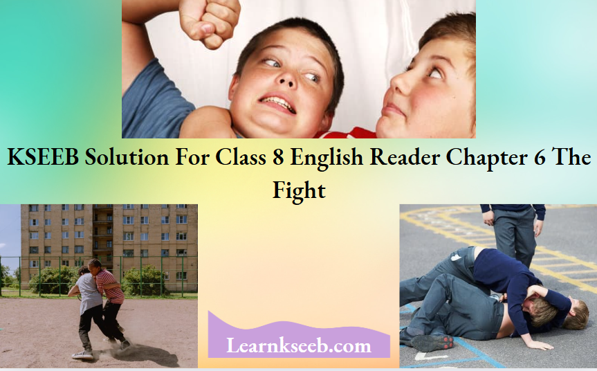 KSEEB Solution For Class 8 English Reader Chapter 6 The Fight