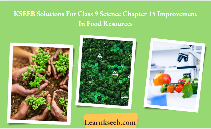 KSEEB Solutions For Class 9 Science Chapter 15 Improvement In Food Resources