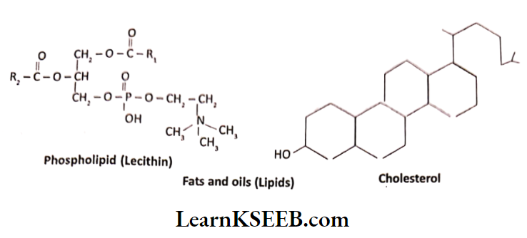 Biomolecules Oils