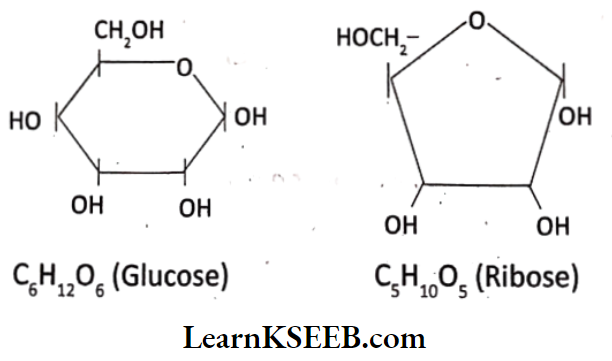 Biomolecules Sugar Carbohydrates