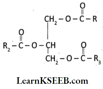 Biomolecules Triglyceride