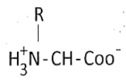 Biomolecules Zwitterionic