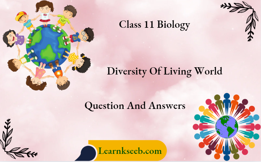 Class 11 Biology Diversity Of Living World Question And Answers