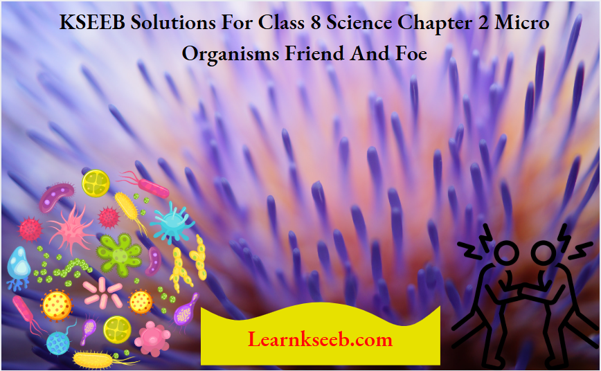 KSEEB Solutions For Class 8 Science Chapter 2 Micro Organisms Friend And Foe