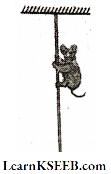 Laws Of Motion A Money Climbs On A Rope