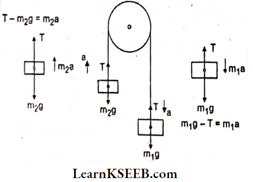Laws Of Motion Two Masses Are Released