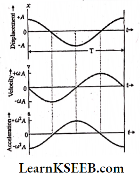 Oscillations Graphically The Variation Of Displacement