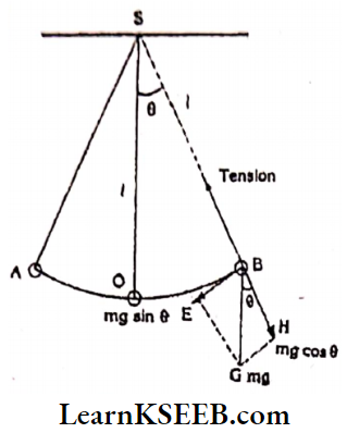 Oscillations Motion Of A Simple Pendulum Is Simplem Harmonic