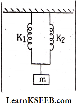 Oscillations Time Period Of A Body Suspended From Spring