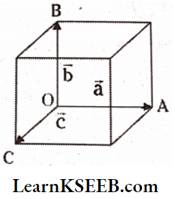 Systems Of Particles And Rotational Motion Volum Of Paralleloppied