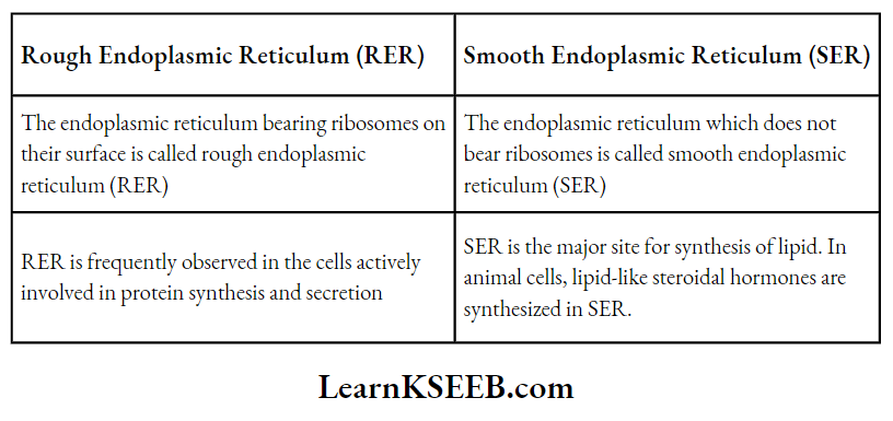 The Unit Of Life Differentiate Between RER And SER