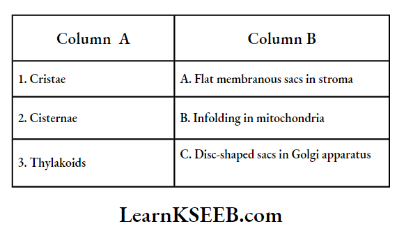 The Unit Of Life Match The Following