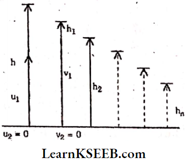 Work Energy And Power Height Attained By A Freely Falling Body