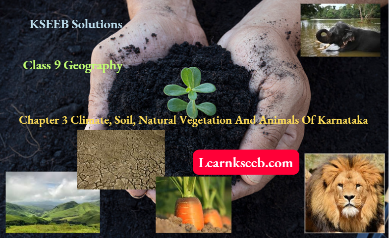 KSEEB Solutions For Class 9 Geography Chapter 3 Climate Soil Natural Vegetation And Animals Of Karnataka