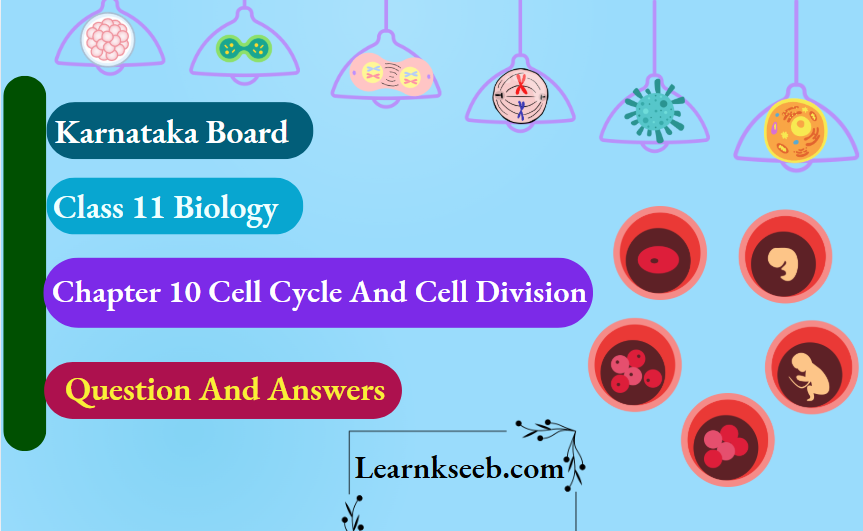 Karnataka Board Class 11 Biology Chapter 10 Cell Cycle And Cell Division Question And Answers
