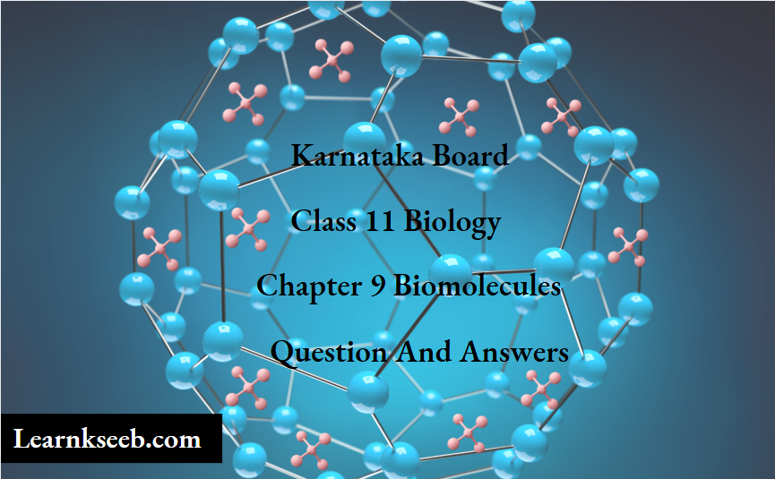 Karnataka Board Class 11 Biology Chapter 9 Biomolecules Question And Answers
